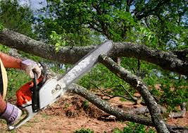 Soil Testing and Treatment in Bangs, TX